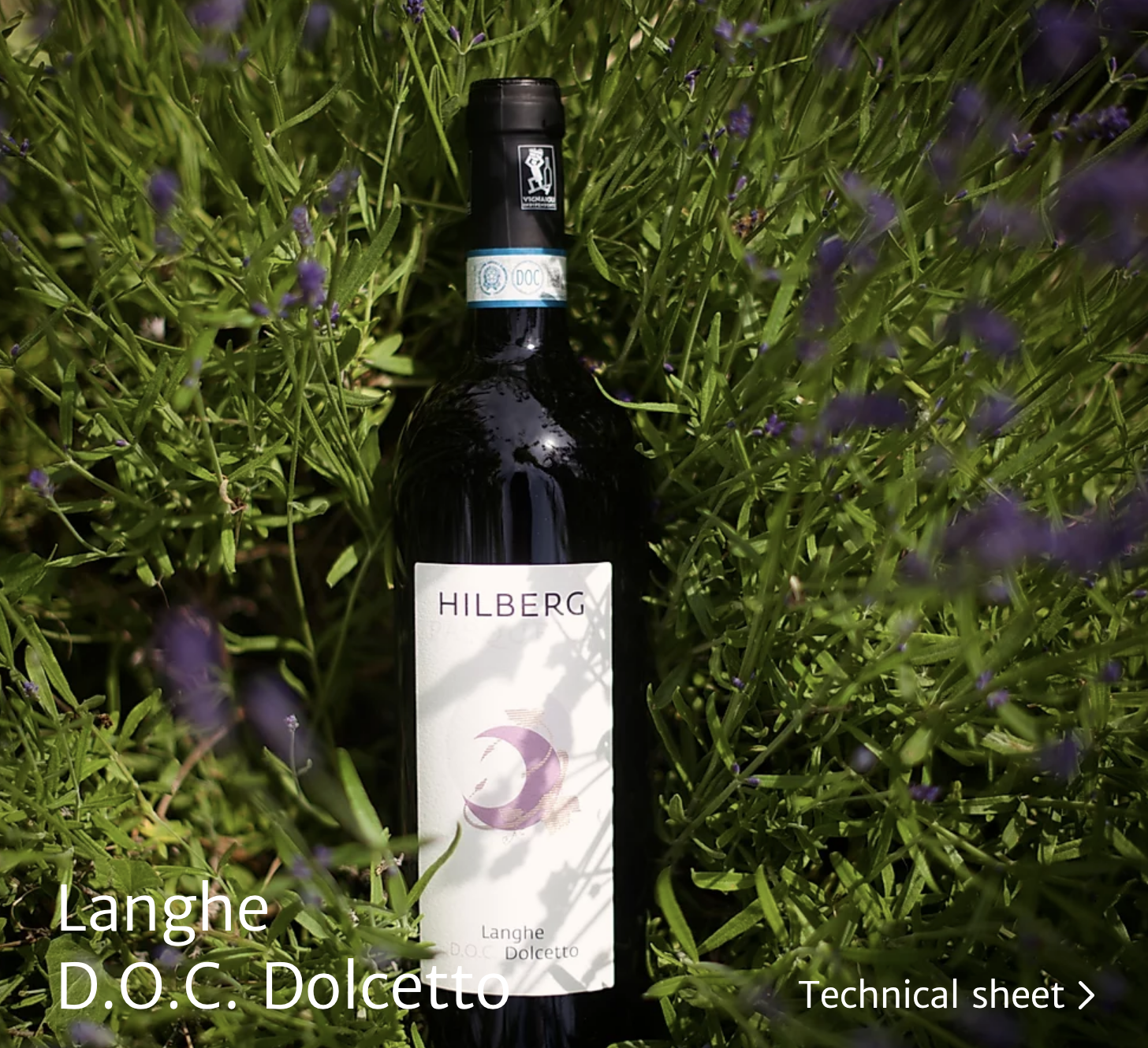 Dolcetto