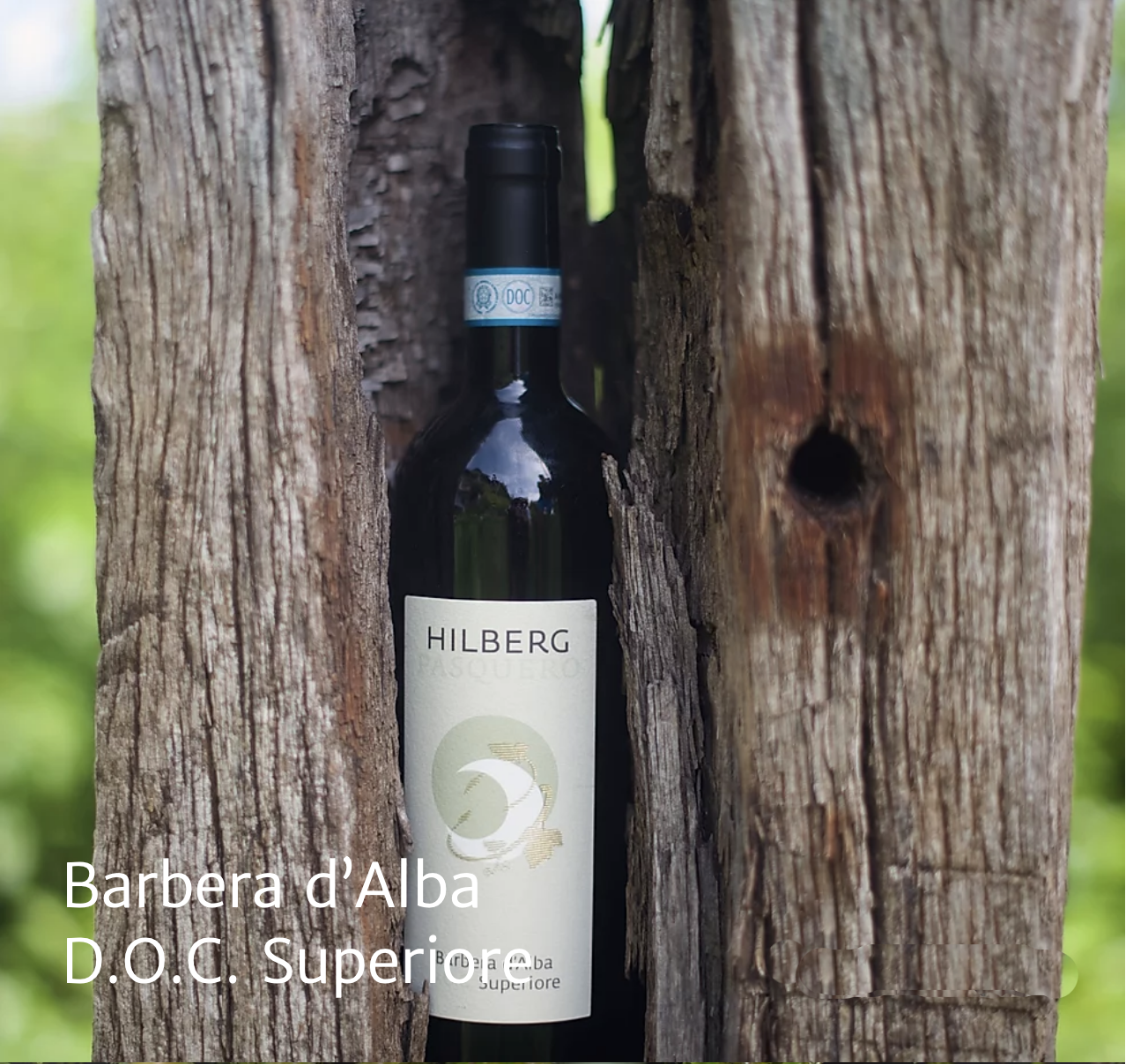 Barbera d'Alba Superiore Monselli